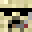 NEicanflyLOOSE's head