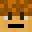 Newerik1's head
