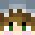 DenseDolphin2010's head