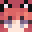 CuteAnswer's head