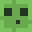 AGreenLad's head