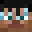 skidzs's head