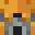 idjot's head