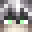 Intro0's head