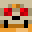 LordFinn249's head