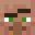 _TheVillager__'s head