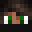 ElectricVoidMC's head