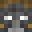 EdenZPlug's head