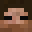 2597's head