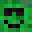 Pickleman0022's head