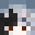 TunaDaShark's head