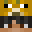 IcenMC's head