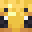TheKillerBee_'s head