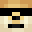ShortNite's head