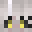 beeskwik's head
