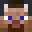 pigonZYX2's head