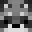 RacoonThaBoi's head