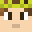 Laigh's head