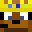 toadmirror's head