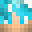 Patnic's head