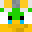 FORSCRAFTPONOS's head