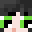 ZxrdysWorkshop's head
