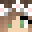 vicefairy's head