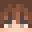 FireGuy2224's head