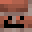 bri1k's head