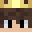 NotGaneshGamer's head