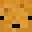 ilovenuggetss's head