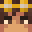 PrankMaster1's head