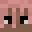 Signatures's head