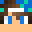 Itz_Flappie's head