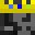 Testily's head