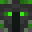 Zoom_XSM's head