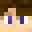 NVMLSS's head