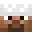 vskm's head