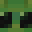 Mr_ChaosYT's head