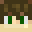 lorenzdragon338's head