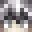 capybara5454's head