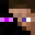 PerfectWins's head