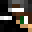 ZLLE's head
