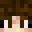 FaberProGaming's head