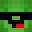 Shadeturtlle's head