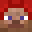 Defragmatized's head