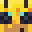 ProteinShaik's head