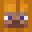 toms_skildpadder's head