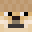 NK0's head