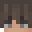 NNISUN's head